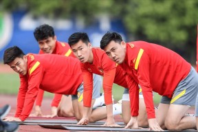 博鱼官网-国内篮球职业联赛峰回路转，球员战绩状况迎刃而解的简单介绍